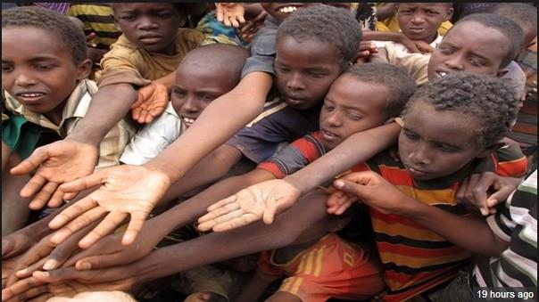 هر پرس غذا در نیویورک1،2دلار در سودان321 دلار/ غذای دور ریز به اندازه 2 میلیارد نفر؛ آمار گرسنگان800 میلیون نفر