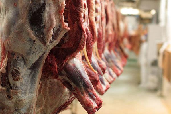 عرضه گوشت قرمز وارداتی و تولید داخلی با قیمت مناسب