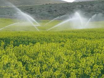 بسیج سازندگی بر آموزش  آبیاری قطره‌ای تمرکز کرده است
