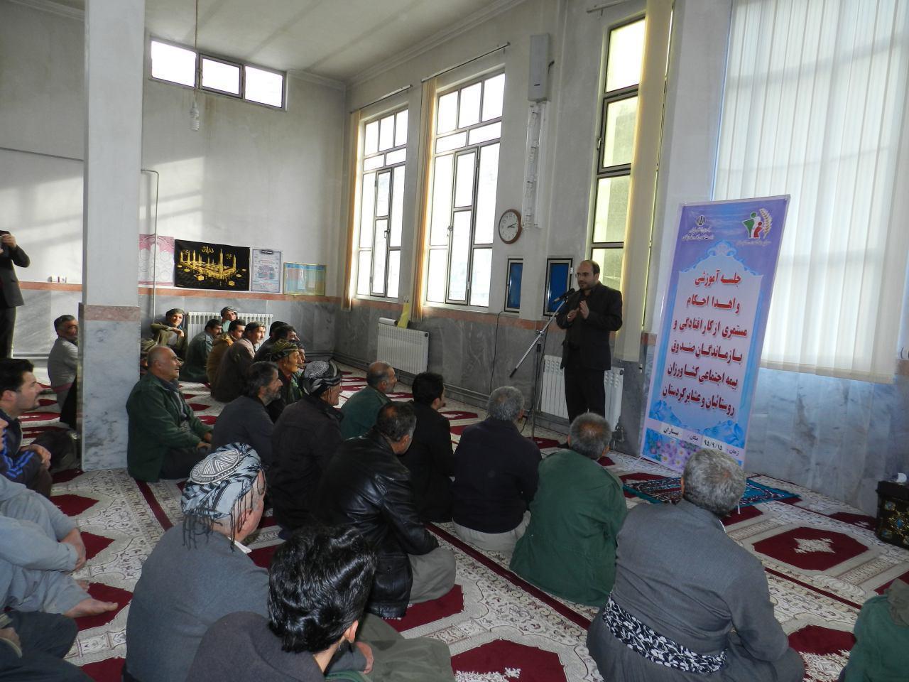 عضویت 46 هزار کردستانی در صندوق بیمه اجتماعی کشاورزی و عشایری