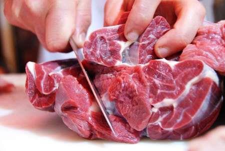 250 تن گوشت قرمز منجمد برای تنظیم قیمت در استان سمنان عرضه می شود