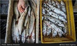 معرفی دانش فنی 30 گونه آبزی برای حفظ تنوع زیستی