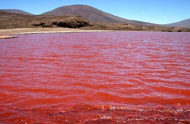 سامانه پایش لحظهای کشند قرمز، مواد مغذی و هیدروکربنی افتتاح شد