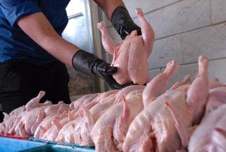 افزایش هزینه های تولید قیمت مرغ را به 80 هزار ریال رساند