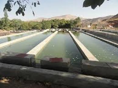 مجوز راه اندازی سه شرکت آبزی پروری درهندیجان خوزستان داده شد