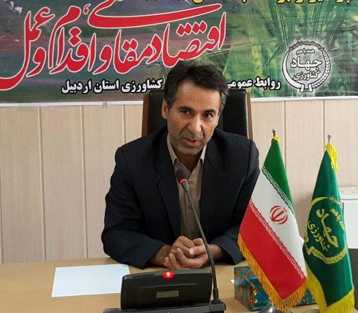 تولید سالانه بیش از 6000 تن عسل در اردبیل