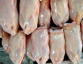 کاهش اندک قیمت مرغ در بازار