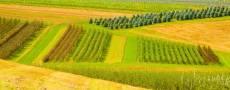 کشاورزی اکولوژیک، راهکار برد-برد افزایش تولید و حفظ محیط زیست/ تولید با تاکید برمحدودیت آب، خاک، تناوب و کشاورزی حفاظتی
