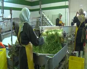 جلوگیری از تبدیل به ضایعات با فرآوری محصولات کشاورزی در سمنان