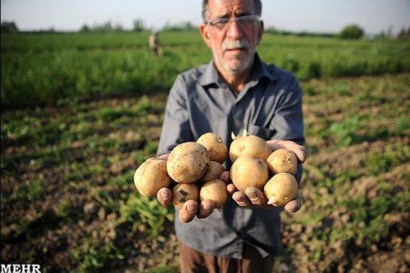 تاثیر محسوس بهره‌وری پایین کشاورزی در اقتصاد اردبیل/آفت خام فروشی