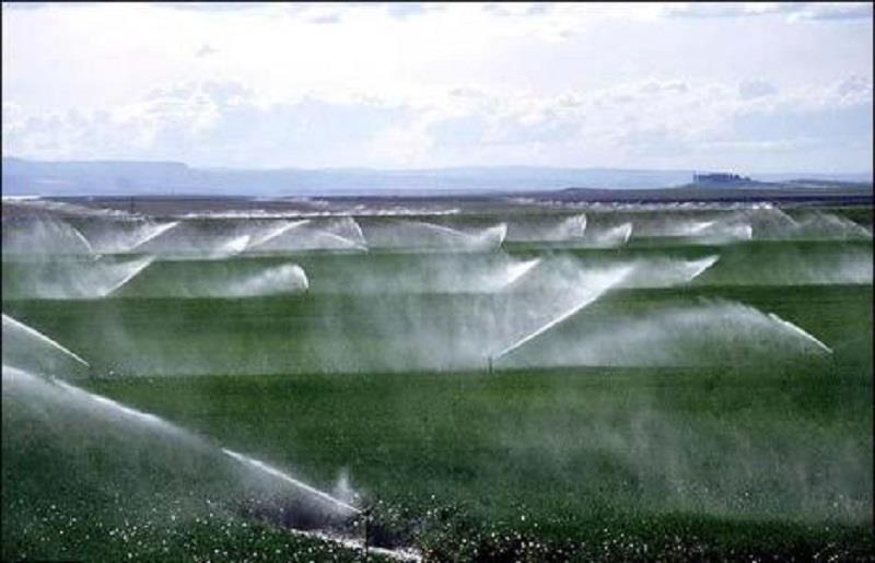 33 درصد از اراضی کشاورزی شهرستان ری به آبیاری تحت فشار مجهز است