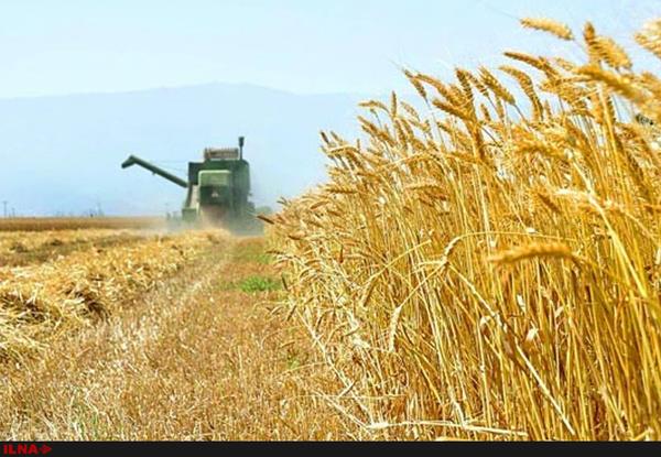 برای خرید ادوات کشاورزی  50 درصد یارانه پرداخت می‌شود/ تراکتور و کمباین از تولیدات داخلی تامین شد