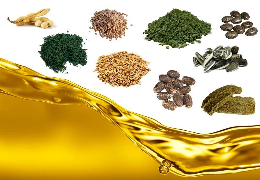 تب و تاب نوسانات نرخ ارز بر بازار دانه‌های روغنی در کشور