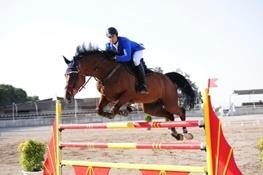 رئیس هیئت چوگان استان البرز: همایش سوارکاری و چوگان در استان البرز برگزار می‌شود