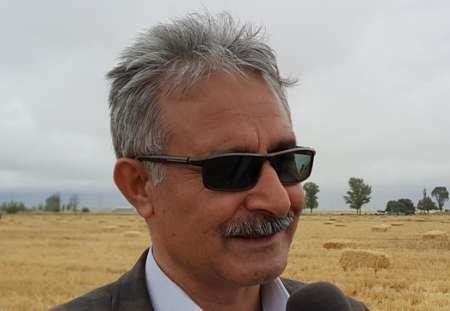 آمارگیری از کلنی های زنبور عسل شهرستان نمین