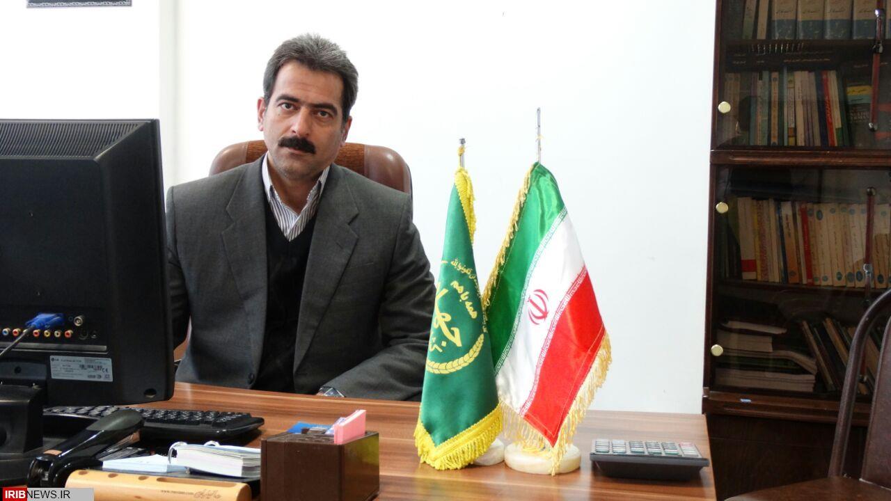 مهلت بیمه کشتهای پاییزه مناطق گرمسیری استان کرمانشاه تا پایان دیماه تمدید شد