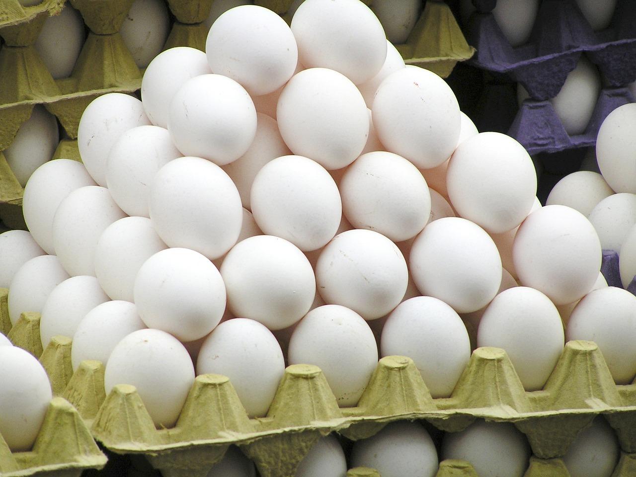 تخم مرغ بیشترین افزایش قیمت سالیانه را در سال 96 داشت