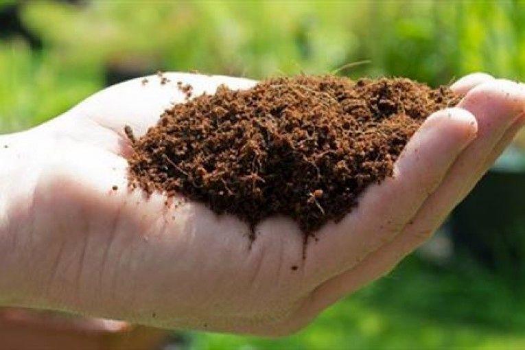 نامه‌نگاری وزیر جهاد کشاورزی برای تسریع در بررسی لایحه خاک/ تکلیف صادرات خاک با گلدان گیاهان زنده مشخص می‌شود