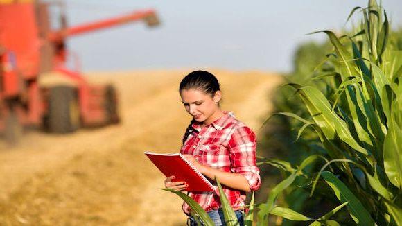 بازگشت جوانان به کشاورزی در سراسر جهان