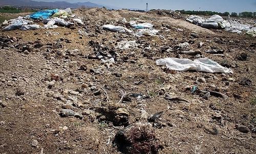 زبالهها و پسماندهای کشتارگاه دام و طیور بوکان به درستی دفع شوند
