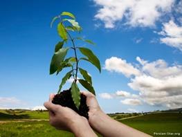 مدیریت منابع طبیعی نیازمند فاکتورهای فراسازمانی است