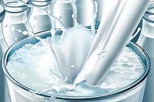 مصرف سرانه شیر 10 درصد افزایش می یابد