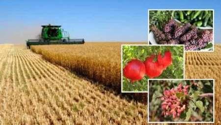 افزایش 30 درصدی تولید غلات کشور مرهون توسعه مکانیزاسیون کشاورزی