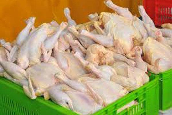 قیمت مرغ از ۸۰۰۰ تومان گذشت/ گرما دلیل گرانی است