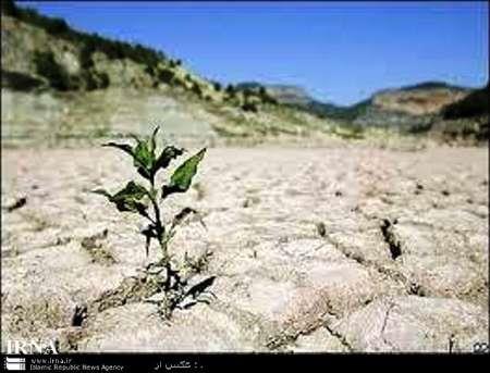 معاون جهاد کشاورزی خوزستان: آب کشت پاییزه در خوزستان تامین شود