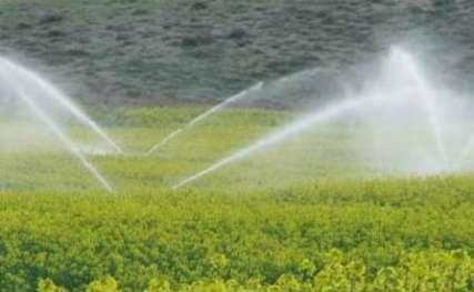 پروژه آبیاری تحت فشار 1109 هکتاری دشتی بوشهر بهره برداری شد