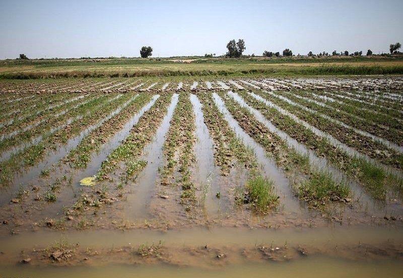 خسارت میلیاردی سیل به بخش کشاورزی شهرستان اقلید