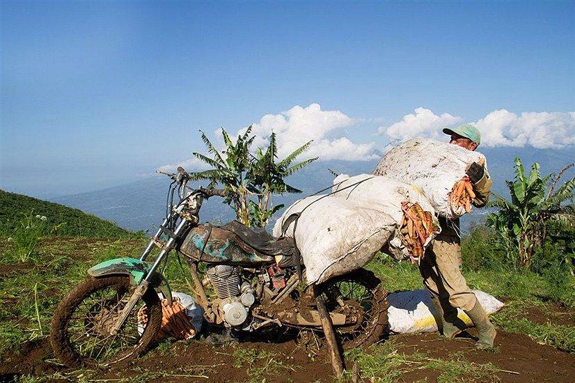 چگونه یک سیستم آموزش روستایی برقرار کنیم که مانع مهاجرت شود؟