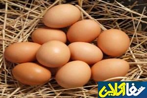 فواید باورنکردنی تخم مرغ