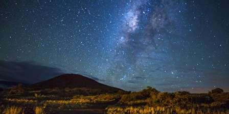 خوراکی‌هایی که نمی‌گذارند سرما بخورید