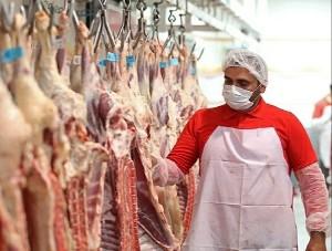 جزئیات واردات دام و گوشت قرمز از آفریقا