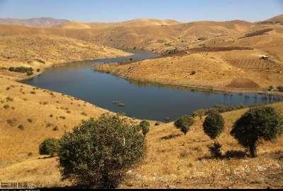 برداشت ذرت علوفه ایی از مزارع کشاورزی قروه آغاز شد