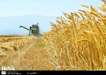 استان همدان رتبه نهم تولید محصولات کشاورزی کشور را دارد