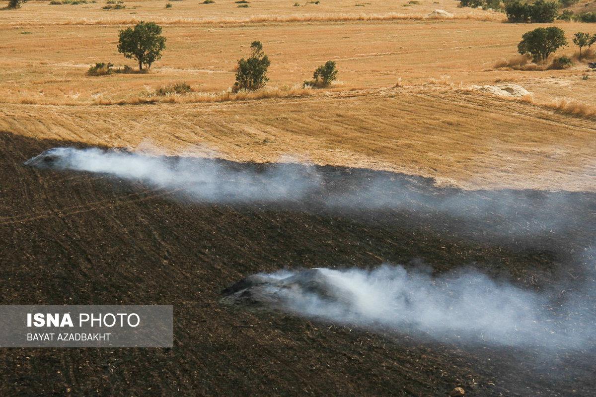 بخش عظیمی از زمین های کشاورزی روستای سلمیان شهرستان ملارد دچارآتش سوزی شدند