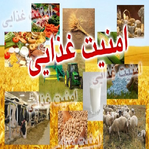غنی‌سازی مواد غذایی با ریز مغذی‌ها