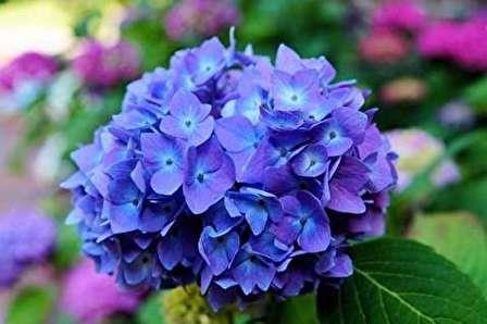 لاغری با سرما!