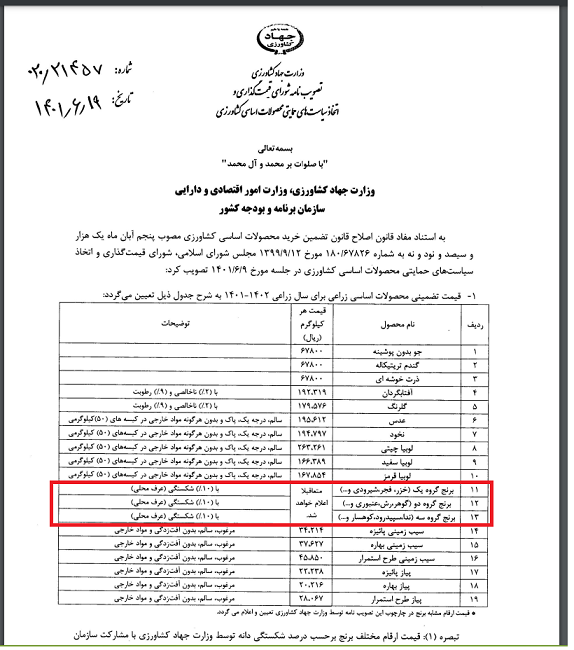 بلاتکلیفی برنج‌کاران از عدم قیمت‌گذاری سه ماه پس از برداشت