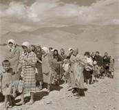 مصرف این ماده غذایی خطر بروز کبد چرب را به دنبال دارد