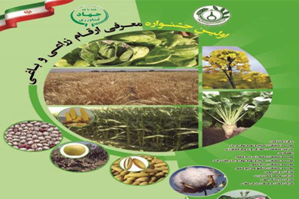 آغاز بکار نخستین جشنواره معرفی ارقام زراعی و باغی در البرز