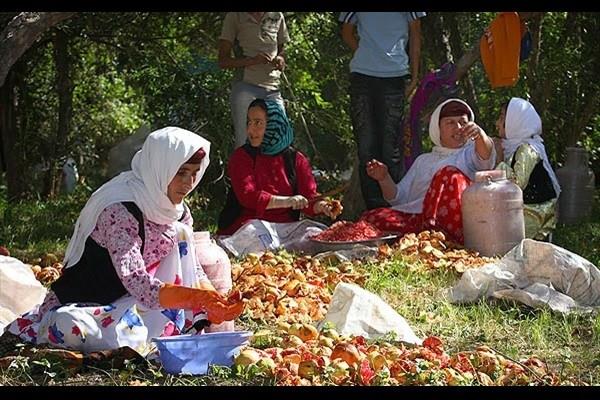 یک روز برای زنان روستایی