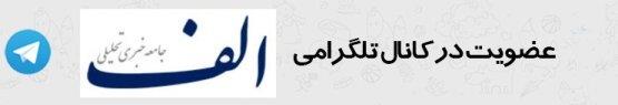 افزایش ۸ درصدی صادرات صنایع غذایی