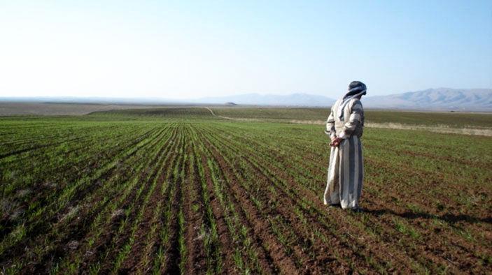 نمایشگاه بین المللی کشاورزی و صنایع غذایی در عراق برگزار می شود