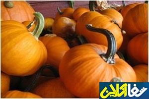 کدویی که تنبل نیست