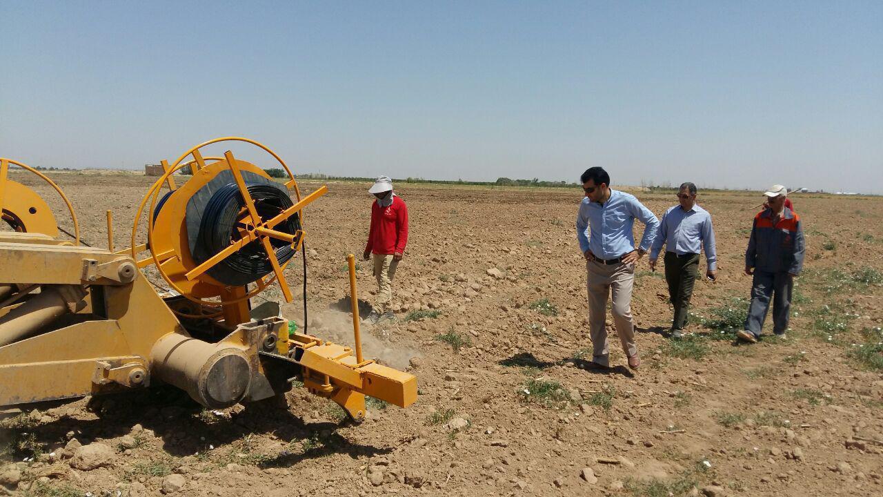 اولین طرح آبیاری زیرسطحی استان قزوین در بخش شال اجرا شد