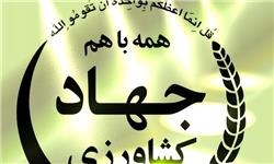 تولید ۱.۸ میلیون تن برنج در کشور/کاهش ۴۷ درصدی واردات در کنار رکورد ۲۰ ساله تولید شکر