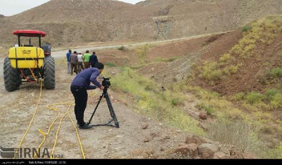 زنگ خطرگسترش هجوم ملخ هادرکهگیلویه وبویراحمدبه صدادرآمده است